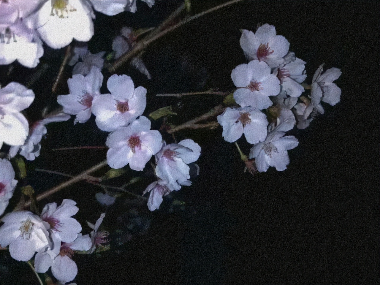 星座师安达|对细节很有把控力的星座,看似粗线条,实则心思细腻,善于观察