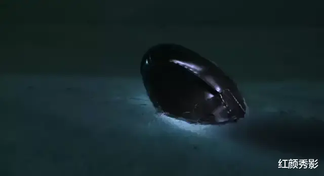 快递|全员凶手，编剧还能圆回来吗？