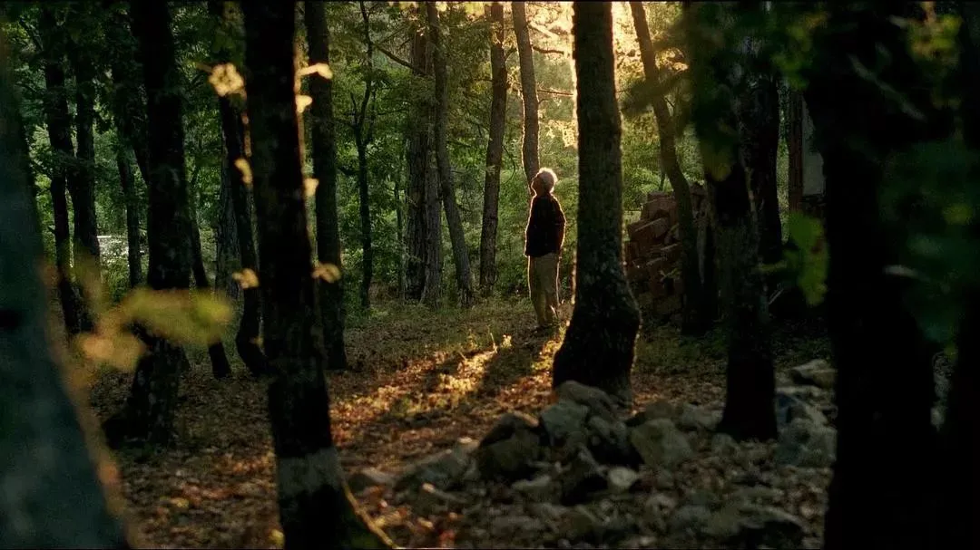 五条人|2021的夏天过去了 很遗憾|我还是想念2020年的夏天