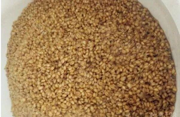 |要想钓得多，必须先打窝，今天分享一款钓鱼打窝料的制作方法。