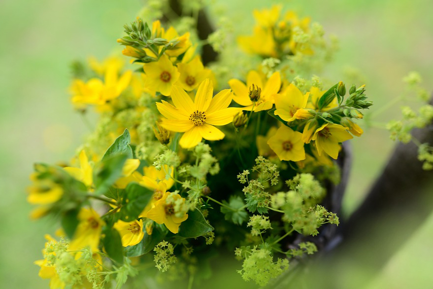 花影人间情感 “人情如纸薄”:心里再苦,有些事也别告诉外人,这是做人的智慧