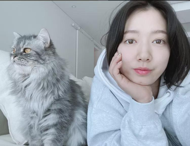 短发|明星减龄或显老短发造型大集合