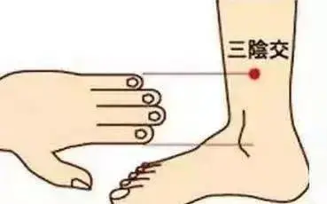 红枣|大暑艾灸,排毒泄旧病!抓住中伏冬病夏调,养生绝佳好时机!