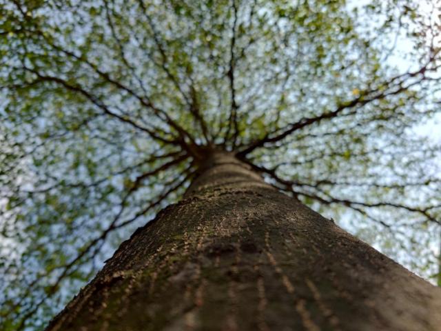 索尼Xperia|索尼 Xperia PRO-I全面评测：Xperia迄今为止最硬核的影像旗舰