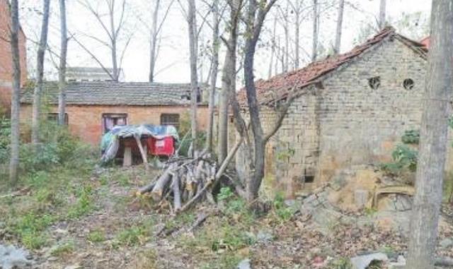 |他亡命天涯16年，娶4个漂亮老婆，连生12个娃，被抓时身家几个亿