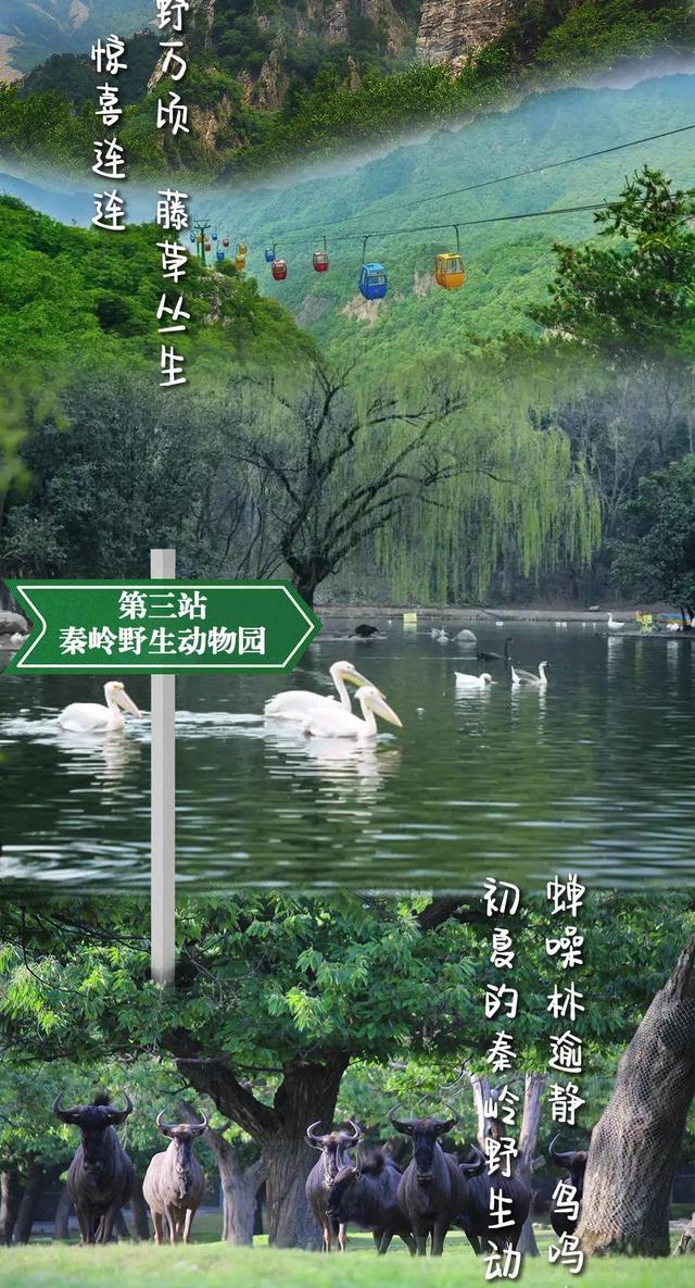 曲江新区 春天→夏天！前方到站秦岭绿色画廊