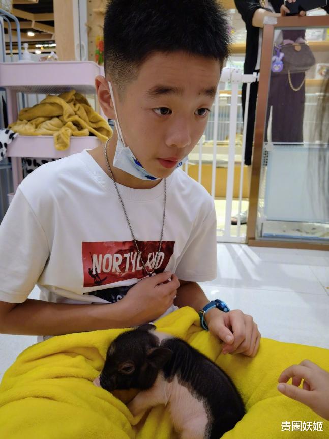 杨威|杨威晒儿女合照,哥哥妹妹手拉手温馨有爱,兄妹仨边走边笑好开心