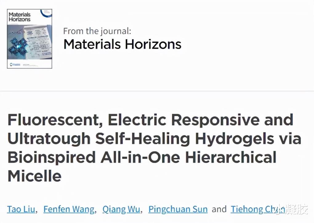  通过仿生多合一分层胶束的荧光、电响应和超韧自愈水凝胶