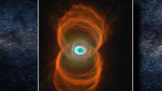 菜菜叶|僵尸恒星长什么样子，里面是真的有僵尸吗？