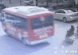 恐龙 已经能预见大家看到恐龙时的表情了，跟天塌下来一样呢