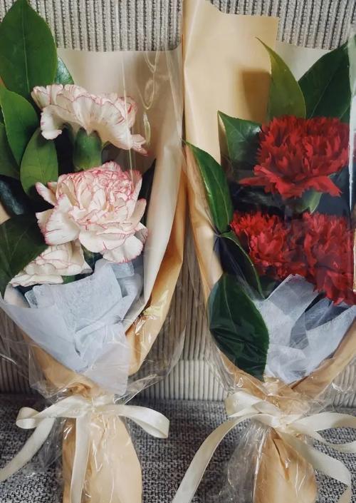 舜网 奚梦瑶母亲节宣布怀二胎，老公何猷君调侃自己的家庭地位又要下降了