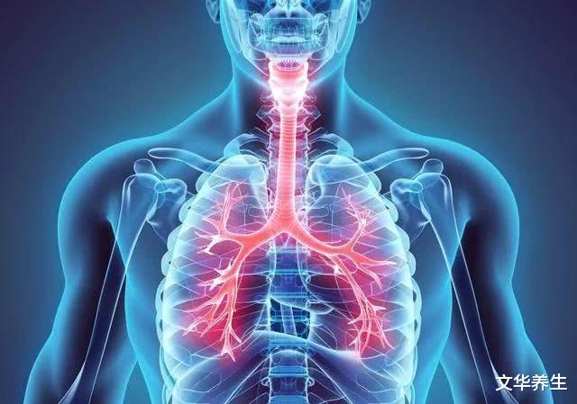 高血压|呼吸关乎生命:养好肺是长寿之本