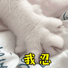 桉月|表情包：心情乱七芭蕉的