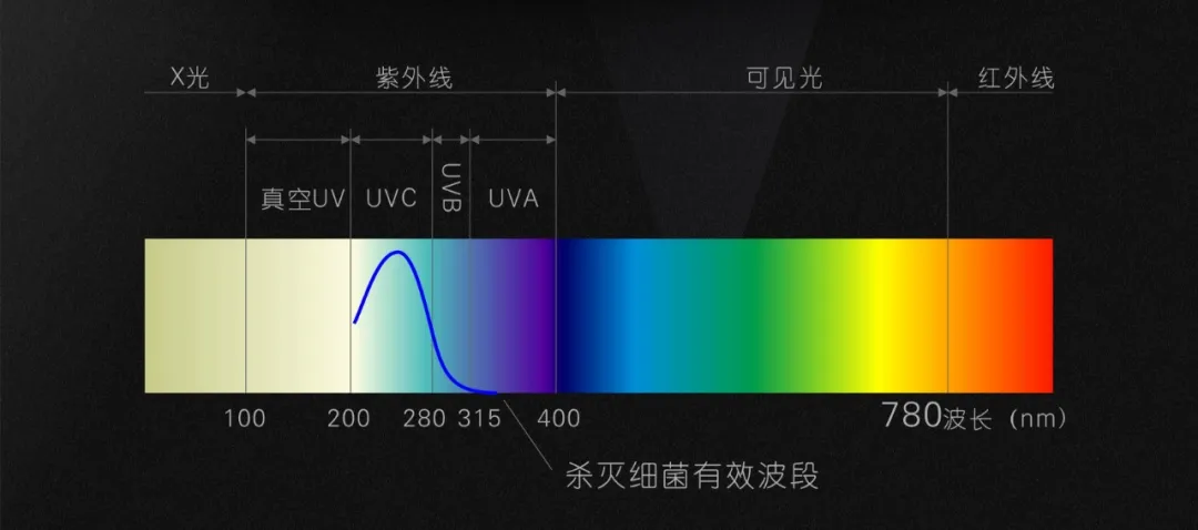 家居超人|跟老婆逛宜家，她非要买这些“网红用品”，大家帮忙看看值不值