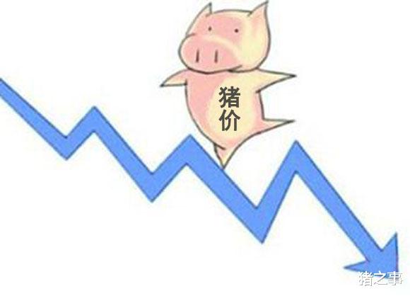 生猪价格 3月18日:为何?猪价“又反转”,下跌区域增多,看完你就明白了
