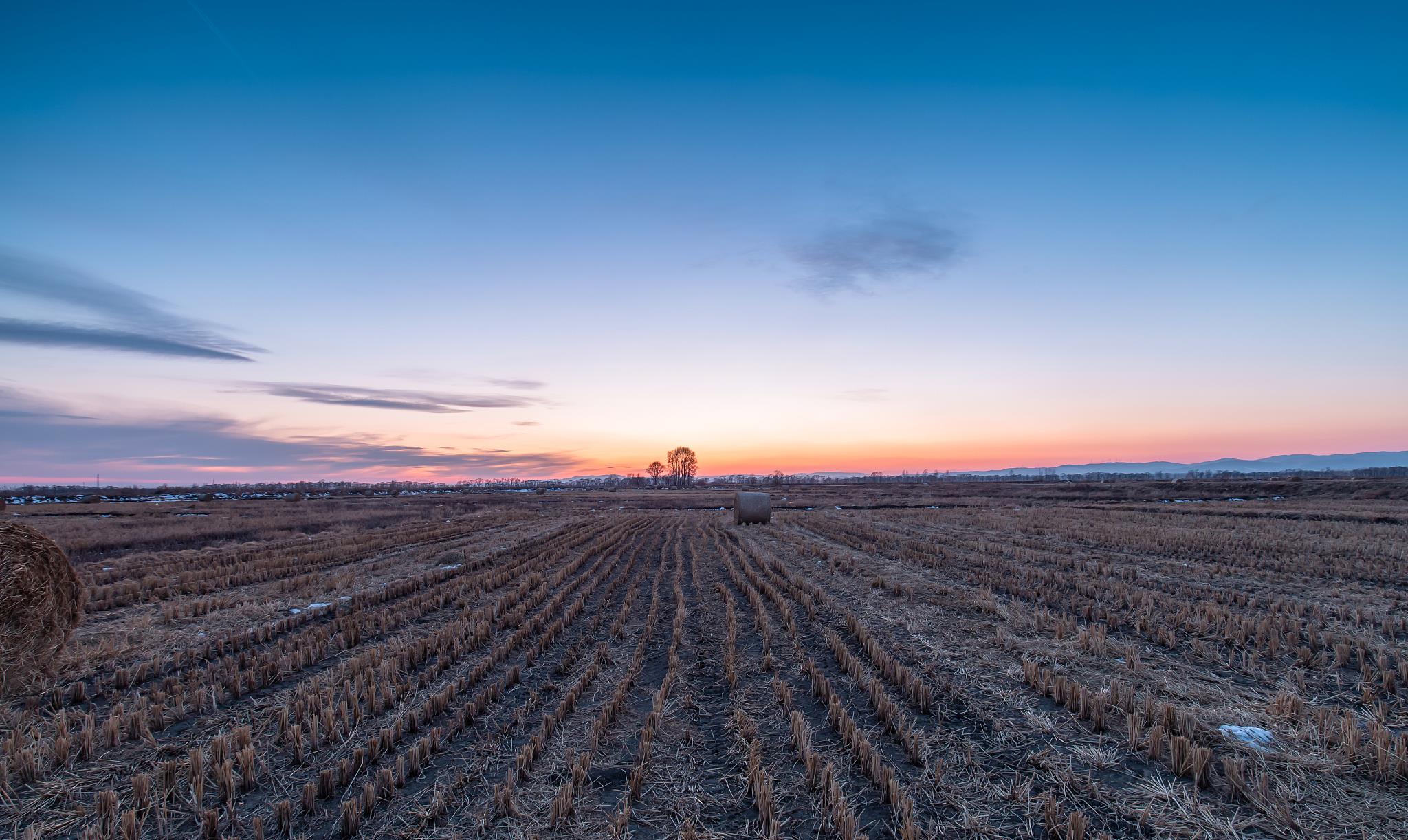 时尚家居TRENDS|作物想高产，为什么补充氮磷钾要搭配腐植酸一起用呢？