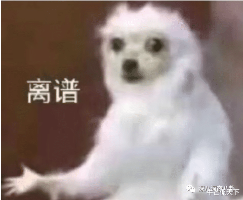 朱之文|五毒俱全的双面人,这次闹出人命了?