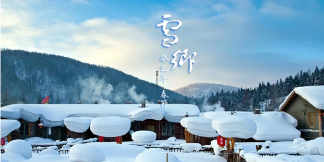 小金来说 上海人在东北待了5年，有些话想说说