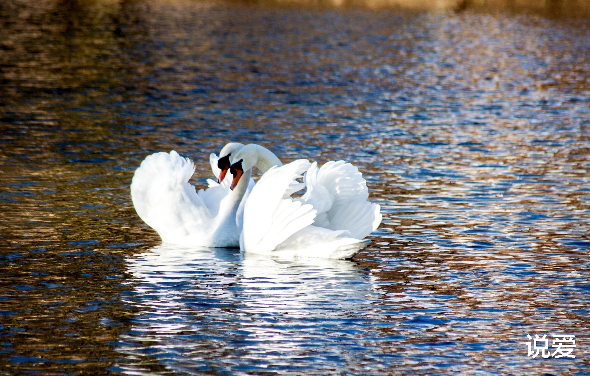 说爱|分开后，当对方是陌生人，是一种聪明的选择
