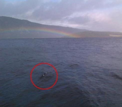 喀纳斯湖 新疆喀纳斯湖“水怪”再现,掀巨大浪花,其中奥秘或被揭开?