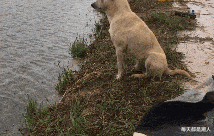 每天都是潮人|我给她分享快乐,她却说我有病该怎么办?