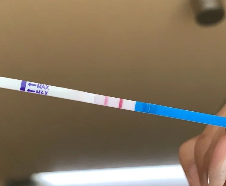 猪先生的李小姐 接好孕~~第一个月备孕就成功，本来已经要放弃，结果虎宝还是来了