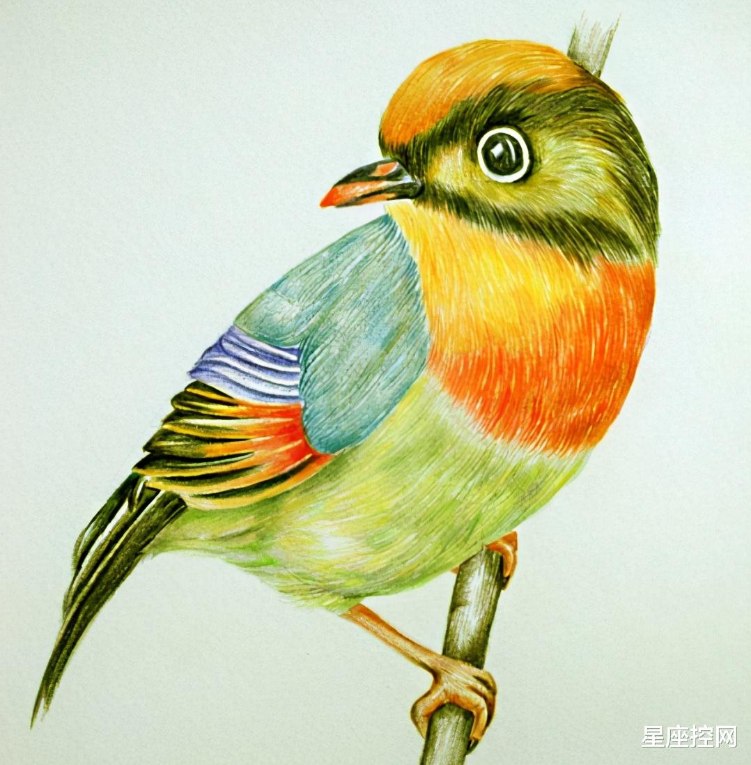 |几月出生的人，男女都好命，婚姻甜美，事业成功，家庭圆满