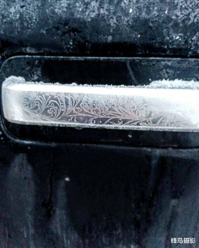 30张罕见的照片,鸟居然可以坐着吃饭,图2这猫是地球生物吗