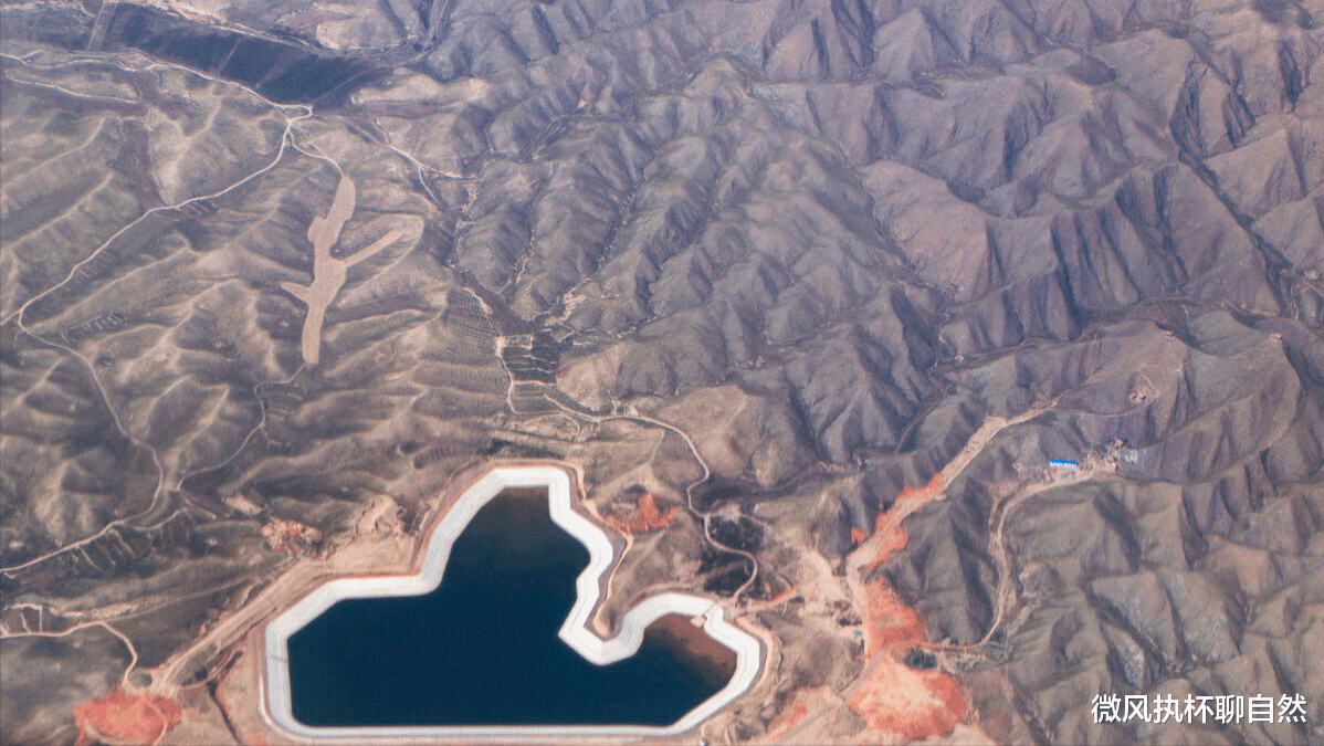 微风执杯聊自然|下乡知青回忆被狼围堵的经历:狼来了,不丢块骨头,它会吃人的