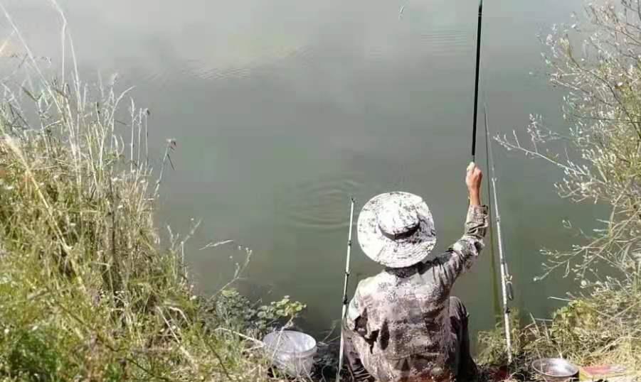 饵料|钓鱼人注意了，天热换用这特效鲫鱼饵，上钩的鱼巴掌大
