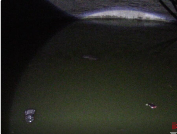 四川省 2019年四川情杀案纪实：男子爱上大嫂，杀害堂哥伪造成意外死亡