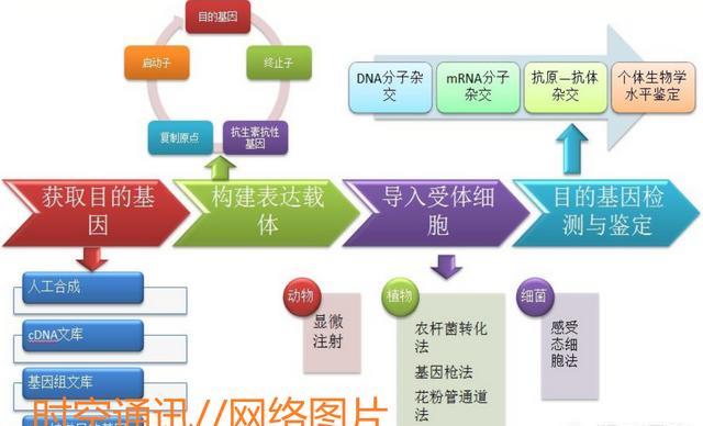 基因 为什么人类可以制造芯片、利用核能、发明智能机器人，却不能制造一片树叶和一粒米？