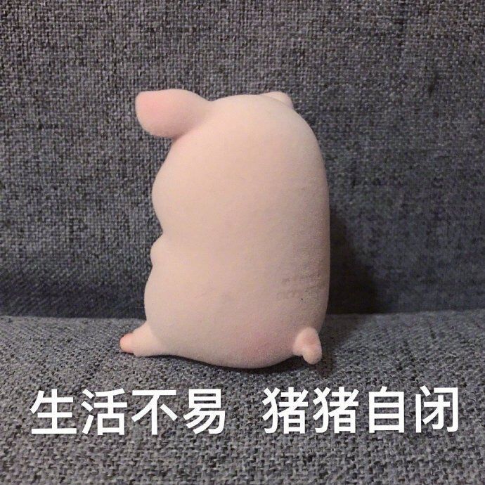 表情包|猪猪表情包 总有你喜欢的【金馆长表情包】