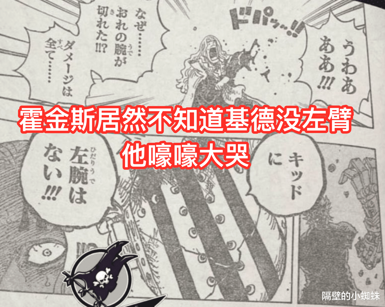 海贼王|海贼王1029话：尾田上演“PPT打斗”，基拉击败霍金斯，却不激情