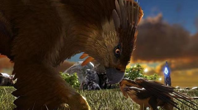 狮子 ?空中霸主阿根廷巨鹰，翅膀宽14米，堪比飞机，可以猎杀狮子吗？