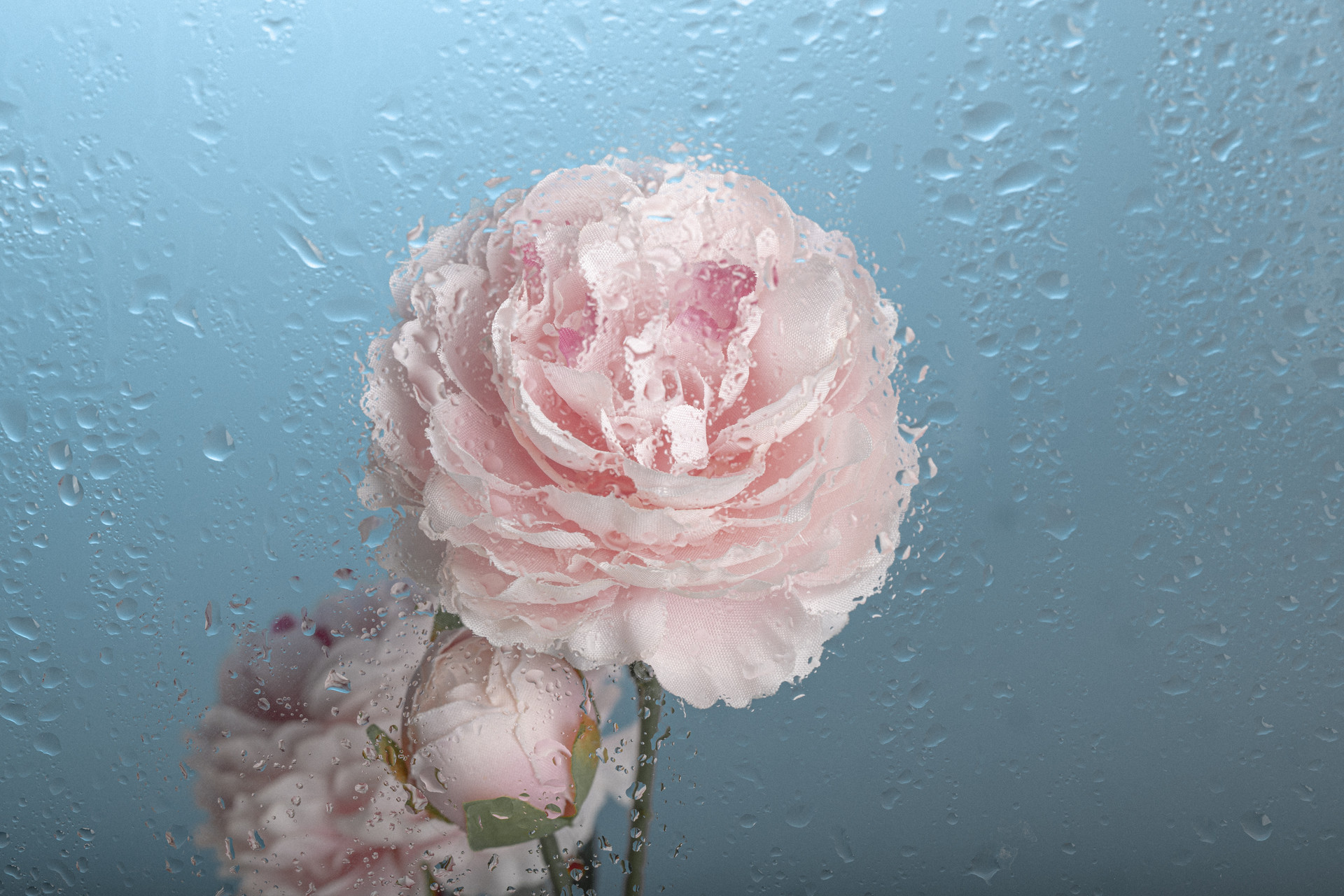 西厢有情 不懂你的人,没必要刻意与他合群