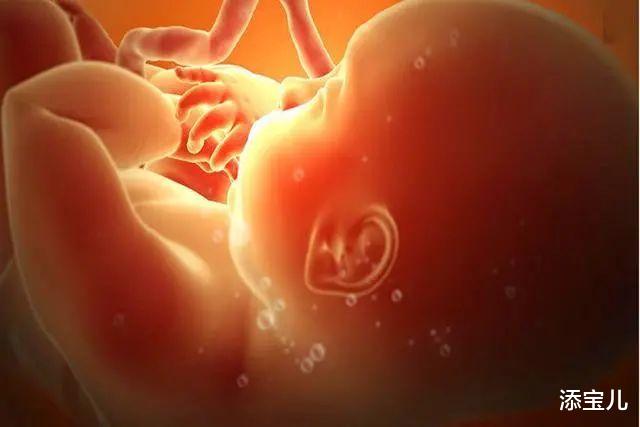 添宝儿|造成孕妇羊水少的原因是什么？该怎么办呢？