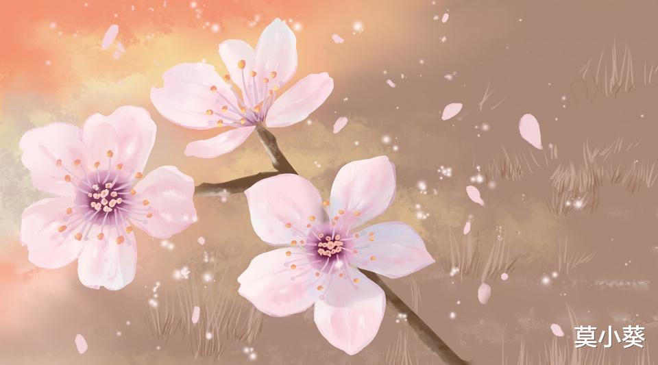 莫小葵|做过这三件事的伴侣,晚年时,不值得你对他太好