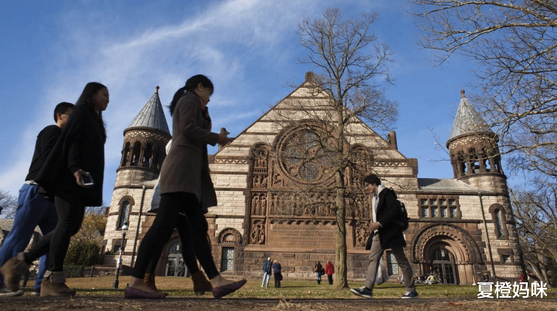 hr|海归不香了？找工作时被国内名校生“吊打”，HR说出原因