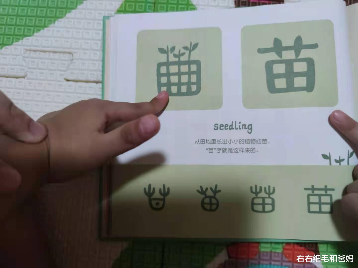 右右细毛和爸妈|“我家3岁孩子认识200字”,识字也要内卷?识字APP靠谱吗?