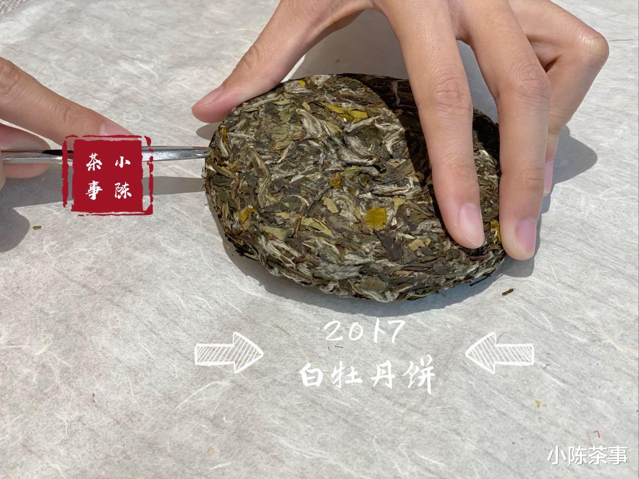 原创|价值不菲的老白茶不能喝?到底是因为什么呢?真相来了