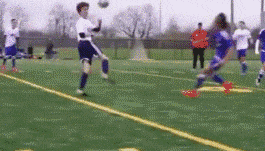 动物庄园|甲方这个要求提得是不错，只是这预算过分了啊