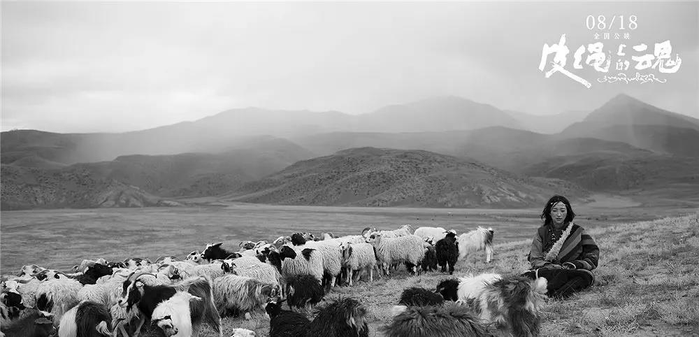 电影|因为一场戏没了一个动物！这5部戏被打差评、遭吐槽，真是不冤