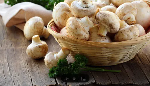 牙齿|枸杞能壮阳你知道吗?