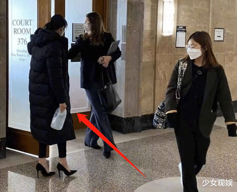 郑爽|郑爽黑衣造型现身法院，大家却关注庭审细节，前夫张恒承认出轨