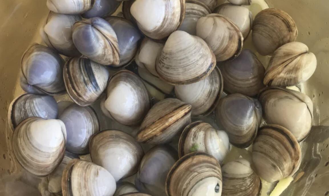 黄体酮|这5种菜富含“黄体酮”,女人要多吃,护好子宫,老了美丽依旧