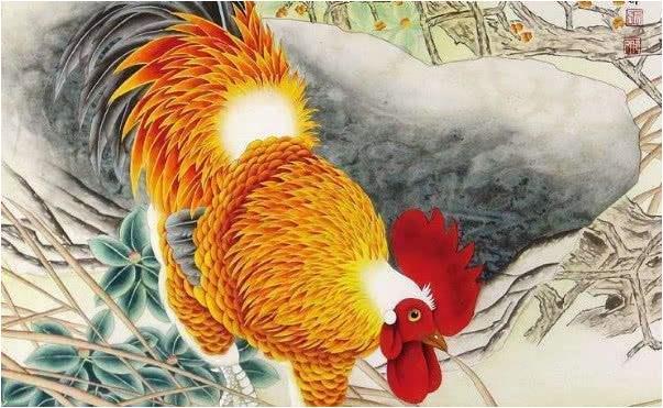 萌乐育儿|生肖属鸡人：事业一路高歌，财气冲天，人生迎来新征程！