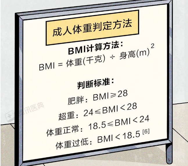 bmi|一分钟教你算下自己是不是个胖子