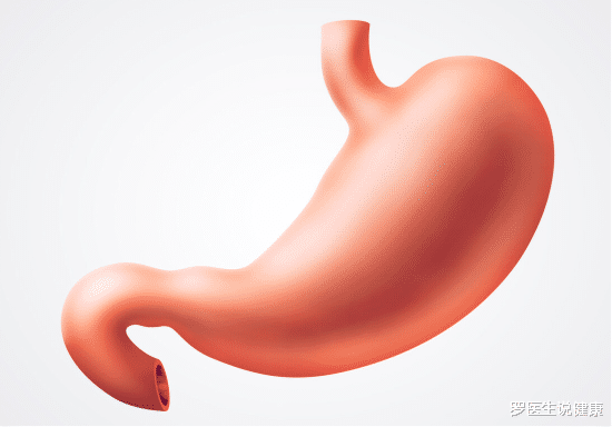 红豆|胃部“保护伞”已公布，与枸杞无关，医生：饭后敞开吃，胃或逐渐强壮