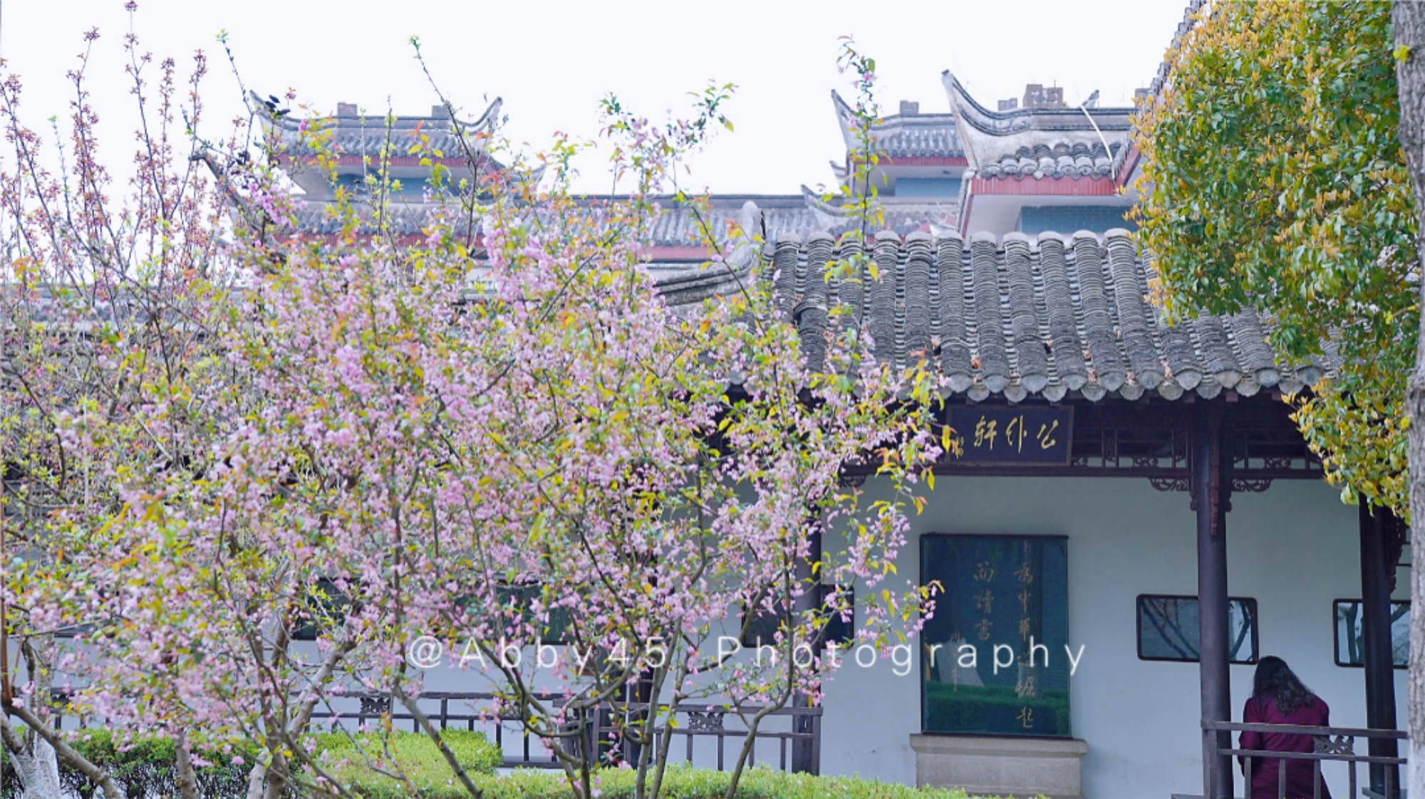 不旅不婷 2021淮安国际马拉松开跑,18公里处设计经过的地方,是周恩来故居